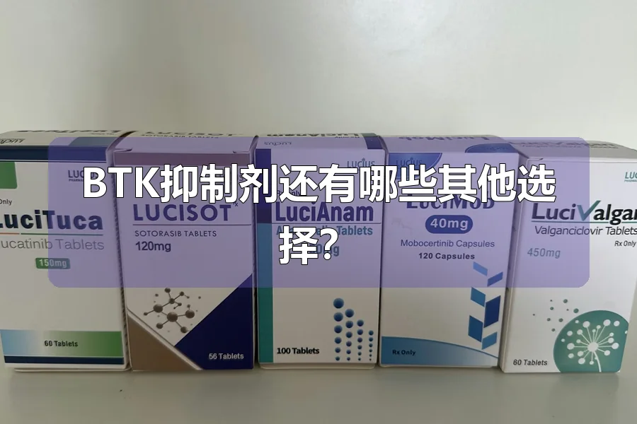 BTK抑制剂还有哪些其他选择？